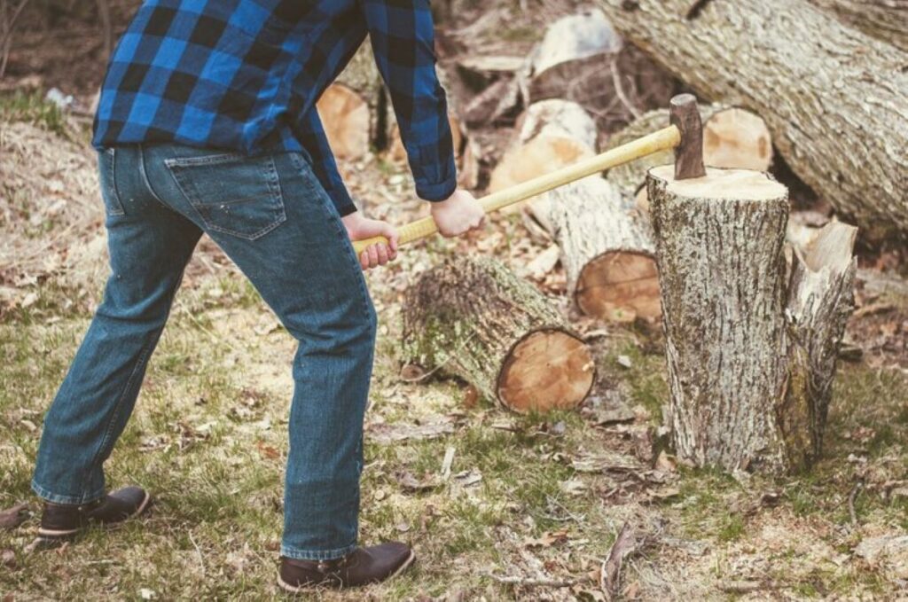 stump grinding